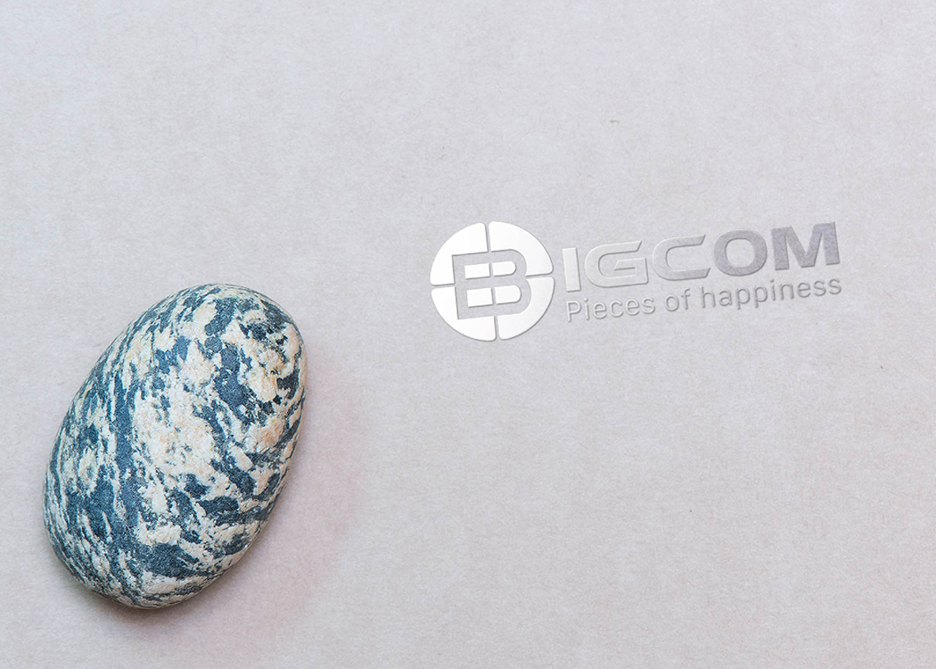 BIGCOM - Thiết kế logo và sáng tạo tên thương hiệu công ty BIGCOM